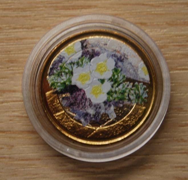 Suomi 5 € 2012 Kasvisto - Jääleinikki