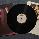 STEVIE NICKS - The Wild Heart   LP - pikkukuva 3