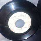 7"single Koelevy Kari Hipponen  : Vihreä talo ( SIS POSTIKUL - pikkukuva 2