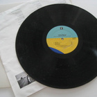Tanita Tikaram Ancient Heart LP EHDOTA HINTAA - pikkukuva 4