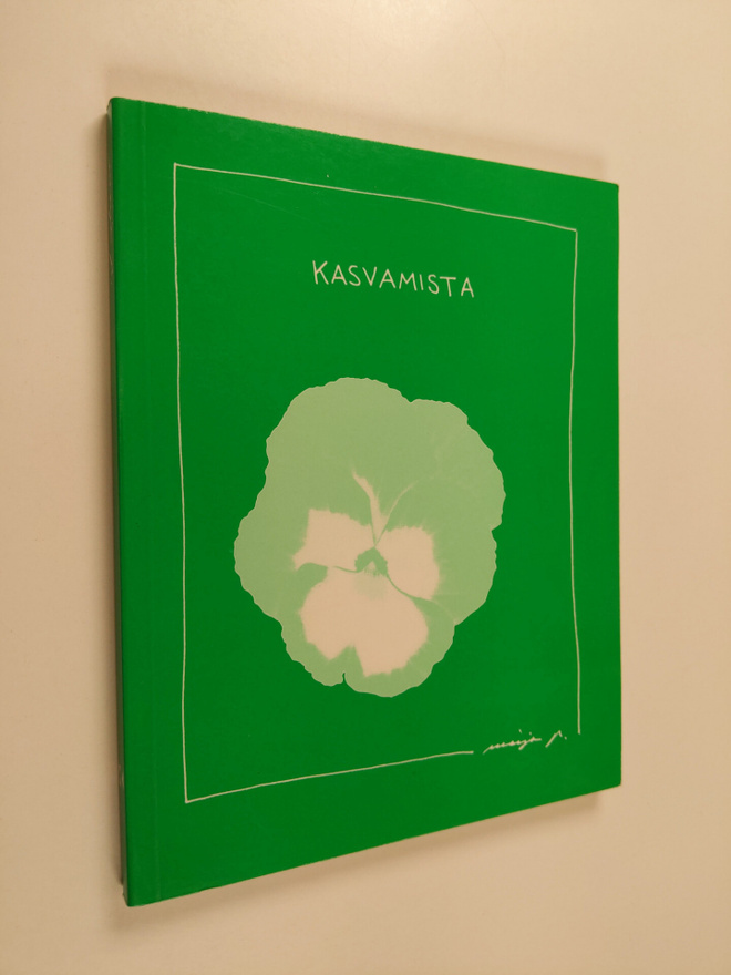 Maija Paavilainen : Kasvamista