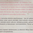 Sarah Wilson: Irti sokerista - pikkukuva 3