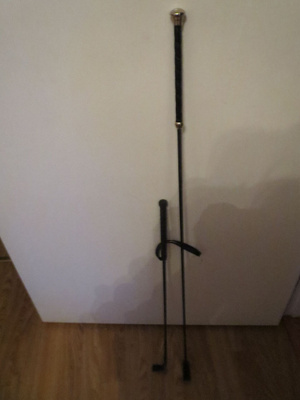 Este- ja kouluratsastusraipat