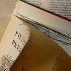 Laura Ingalls Wilder - Pieni talo Preerialla (sid.) - pikkukuva 2