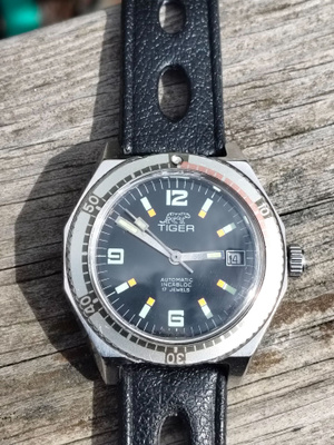 Tiger automatic diver
