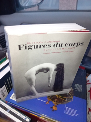 FIGURES DU CORPS ( SIS POSTIKULU )
