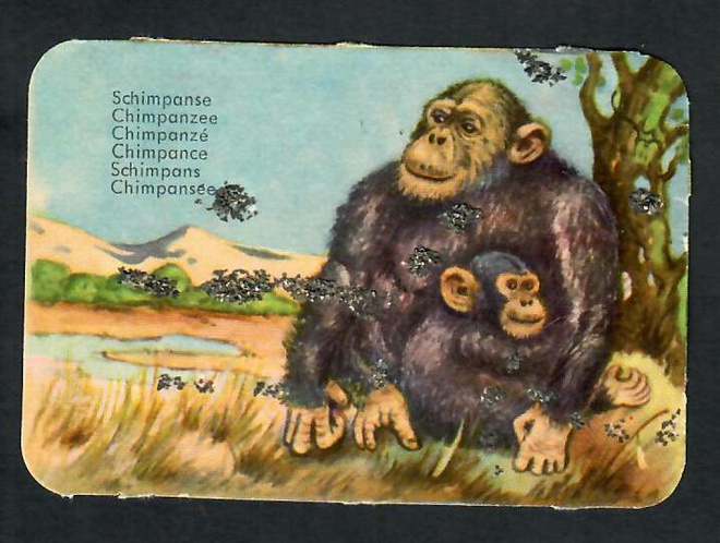 ALE - EAS 3113 - Nelkku - Simpanssi - 1960-luvulta!!!