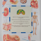 Richard Walker : The Children's Atlas of the Human Body -... - pikkukuva 2