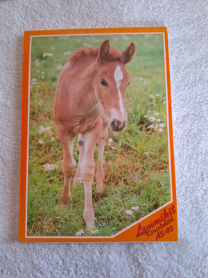 Varsa Kirjelehtiö vintage A5/40 sivua. 1990-luku
