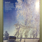 Ilmajoen joulu 2004 - pikkukuva 3