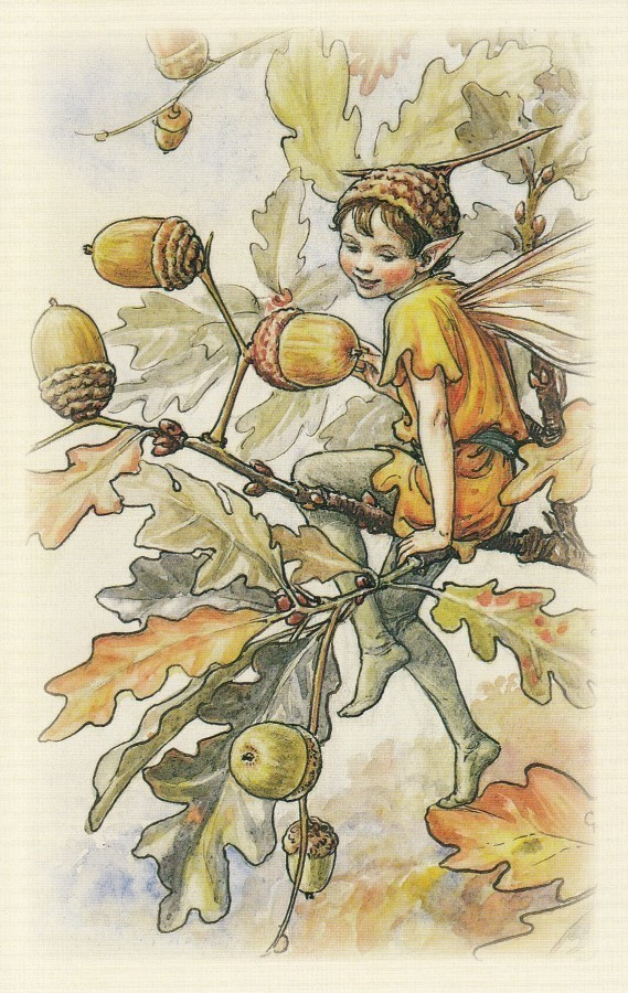 Cicely Mary Barker: Kukkakeijut tammenterho