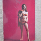 neljä pin-up postikorttia - pikkukuva 4