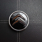 Citroen vannekeskiöt – Kromi-Musta – 59mm (4kpl - pikkukuva 3