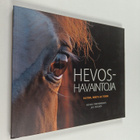 Jan Hulsen ym. : Hevoshavaintoja - pikkukuva 1