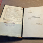 ONERVA SÄRJETYT JUMALAT 1910 - pikkukuva 2