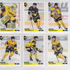 2019-20 Cardset Series 1 SaiPa Team Set 12 korttia (121-132) - pikkukuva 1