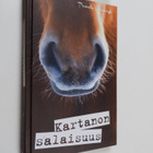 Pamela Kavanagh : Kartanon salaisuus - pikkukuva 1