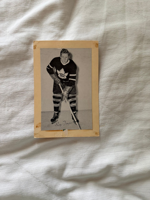 Ray Timgren Toronto Maple Leafs Beehive