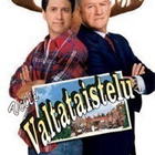VILLI VALTATAISTELU (24 094) k -FI- DVD ray romano 2003 - pikkukuva 1