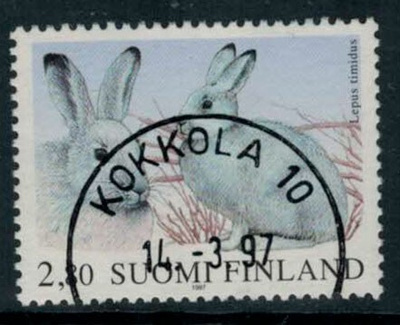 1997 jänikset loisto KOKKOLA -97