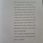 Muistojen kirja, täytettävä - pikkukuva 2