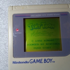Game Boy Tiny Toon Adventures Scn - pikkukuva 3