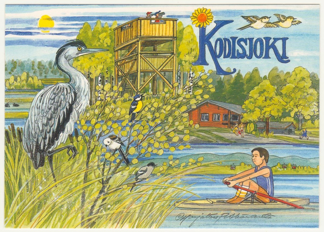 Pitkäranta : Kodisjoki Rauma