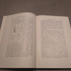 Schäffer: Natur- Paradoxe (kuv. 1908) - pikkukuva 2