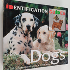 Dogs - pikkukuva 1