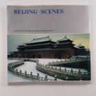 Hu Wei Biao : Bei Jing Feng Guang Beijing Scenes - pikkukuva 2