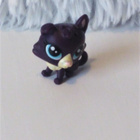 LPS COLLIE - pikkukuva 1