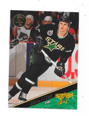 1993-94 LEAF #212 Derian Hatcher , Dallas Stars