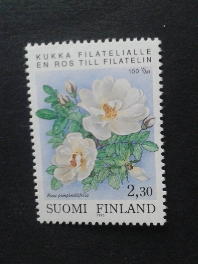 1993 järjestäynyt filatelia**