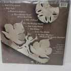 JIMMIE VAUGHAN - STRANGE PLEASURE EX/EX- EU 1994 LP - pikkukuva 2