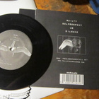 No Shame 7" EP FIN 2005 Face The Truth - pikkukuva 2