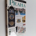 Vladimir (pääavustaja) Soukup : Praha - pikkukuva 1