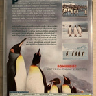 Pingviinien maailma (2DVD) koko perheen luontoelokuva - pikkukuva 2