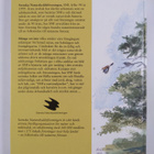 90 år ung! : Naturskyddsföreningen 1909-1999 - pikkukuva 2