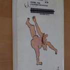Tiina Pystynen : Leskikuningattaren muistelmat (1.p. 1993 kp - pikkukuva 2