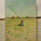 Laura Ingalls Wilder - Hopeajärven rannalla (nid.) - pikkukuva 2