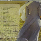 Aino-Kuoro • Ainoa CD UUSI - pikkukuva 2