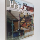 Harald Salfellner : Prague Under Water - pikkukuva 1