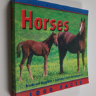 Marion Curry : 1000 Facts on Horses - pikkukuva 1