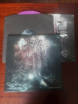 Aara - So Fallen Alle Tempel