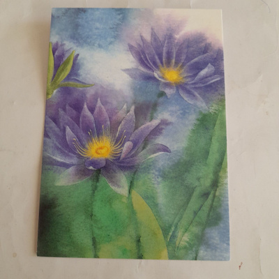 Violetit kukat