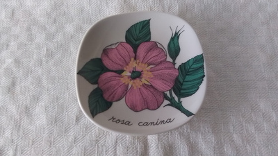 Arabia/Esteri Tomula - rosa canina seinälautanen