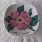 Arabia/Esteri Tomula - rosa canina seinälautanen - pikkukuva 1