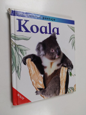 Jinny Johnson : Koala