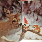 Tonttujen kutsu - Rien Poortvliet & Will Huygen 4.p.1998 - pikkukuva 2