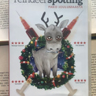 Reindeerspotting: pako Joulumaasta (DVD) - pikkukuva 1